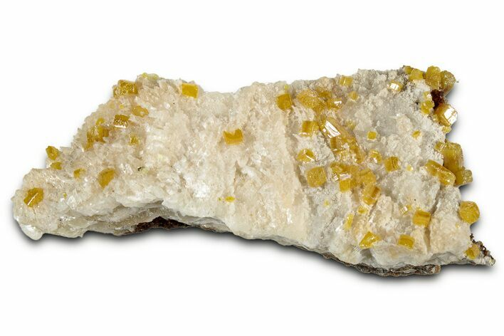 Orange Wulfenite Crystals on Calcite Association - Mexico #327475